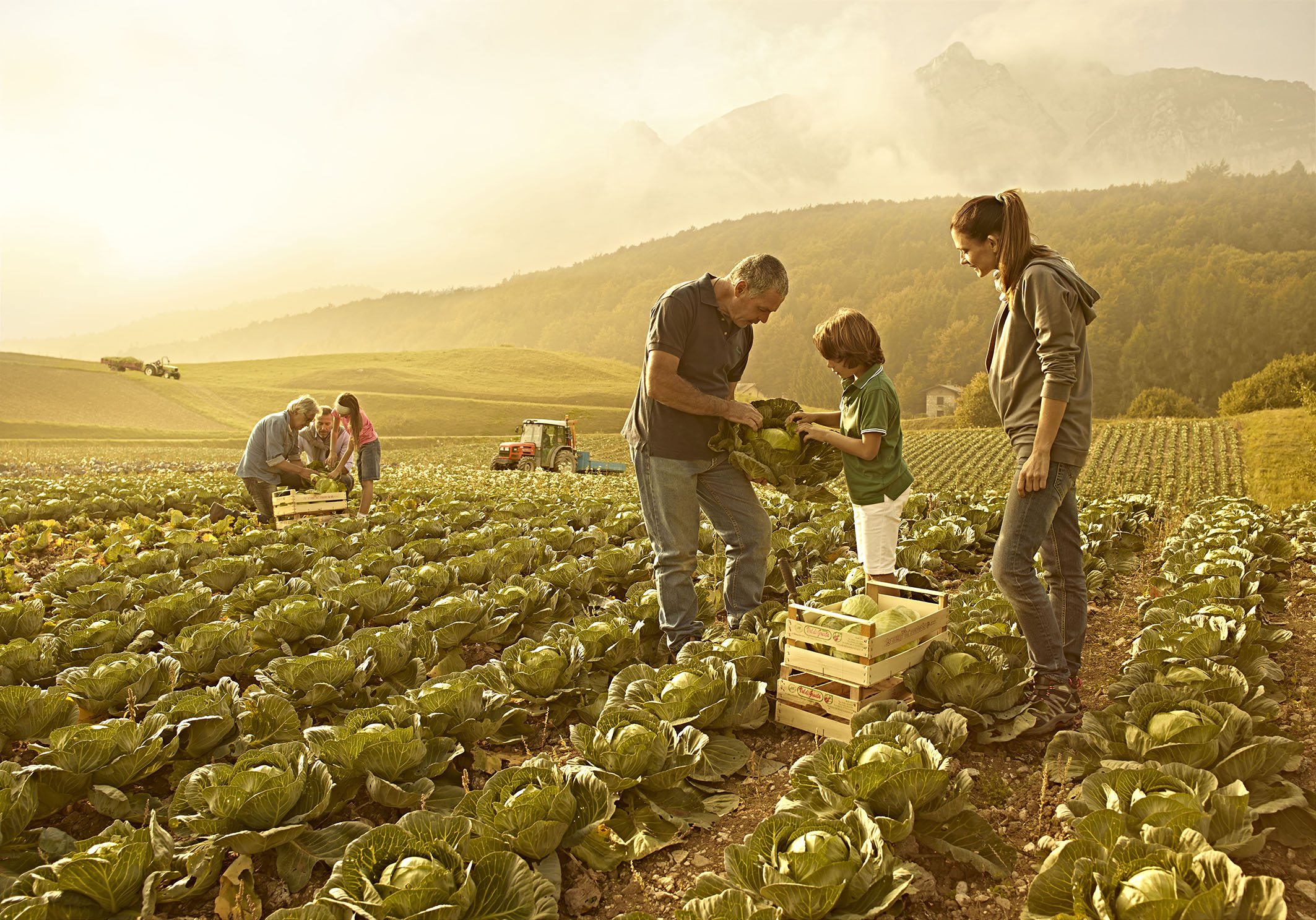 Aprire un’azienda agricola